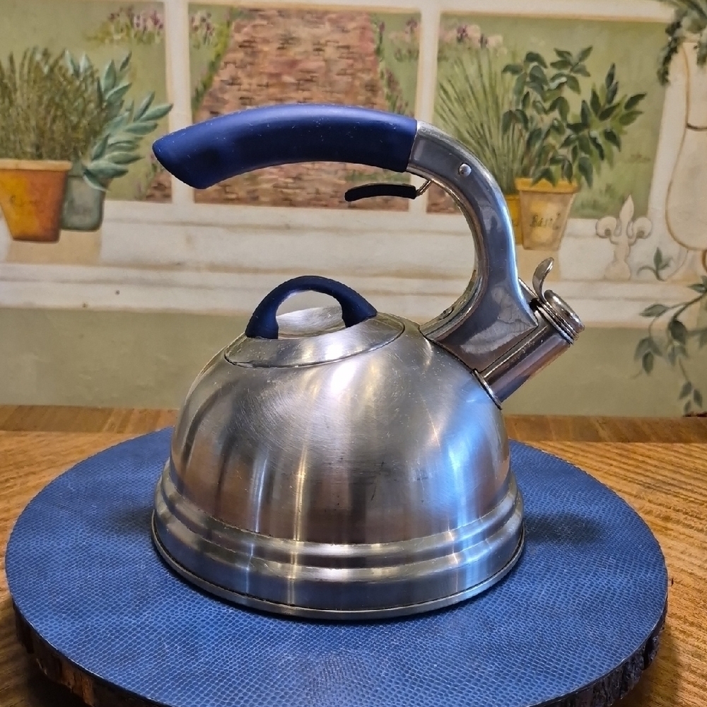 Caladad Professional Stainless Steel 2.7 Qt. Soft Touch Stay Cool Kettle. (#898)